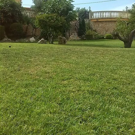 Azzurra Holiday